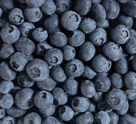 Similar image 21887961