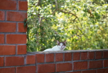 Similar image 21887962