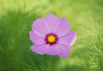 Similar image 21887963