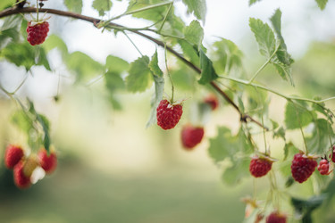 Similar image 21887965