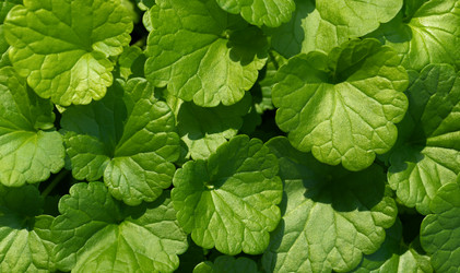 Similar image 21887966