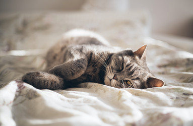 Similar image 21887968