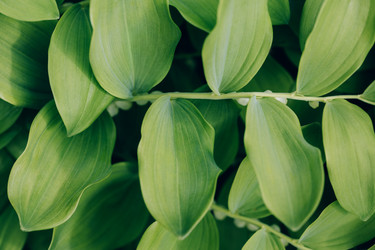 Similar image 21887972