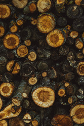 Similar image 21887973