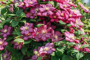 Similar image 21887974