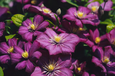 Similar image 21887976