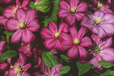 Similar image 21887977