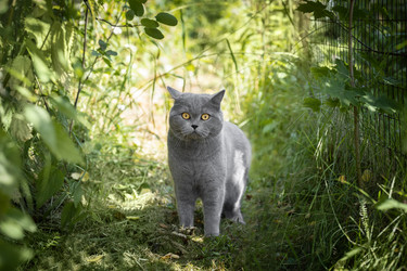 Similar image 21887978