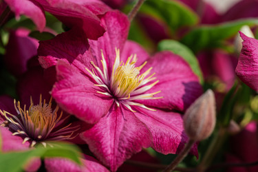 Similar image 21887979