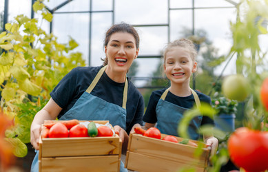 Similar image 21888266