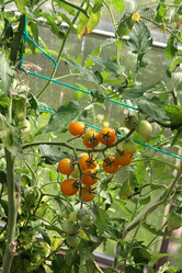 Similar image 21889292