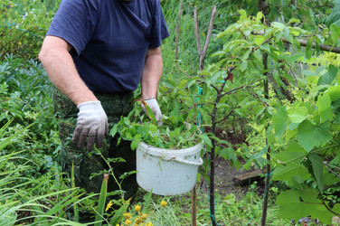 Similar image 21889004