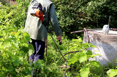 Similar image 21889293