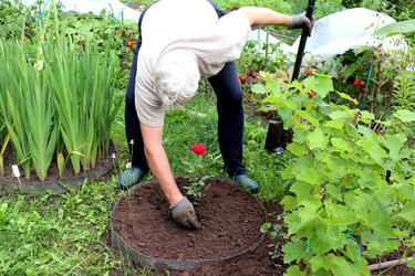 Similar image 21889294