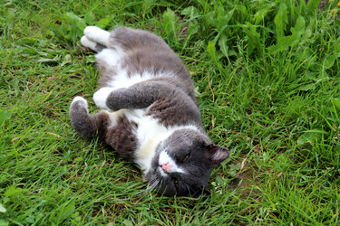 Similar image 21889005