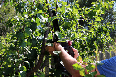 Similar image 21889006