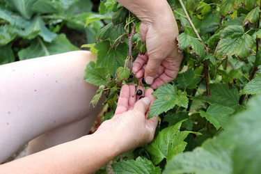 Similar image 21889007