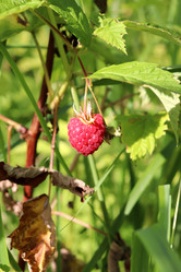 Similar image 21889009