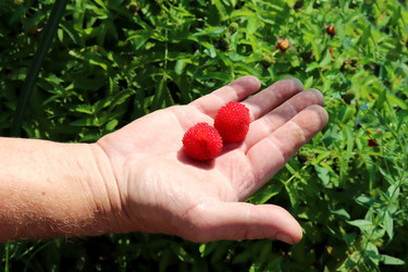 Similar image 21889295