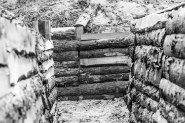 Similar image 21890501