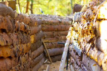 Similar image 21890502