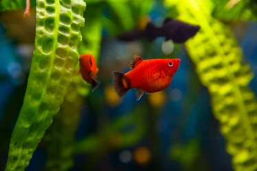 Similar image 21886667