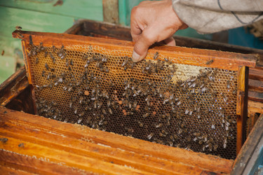 Similar image 21886670