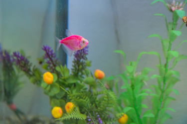 Similar image 21886671