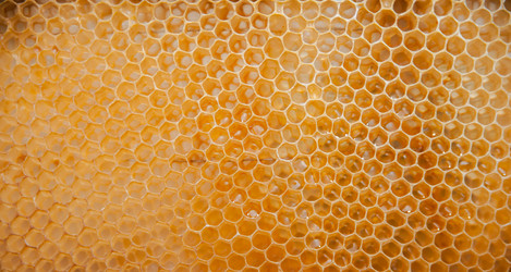 Similar image 21886672