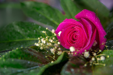 Similar image 21886673