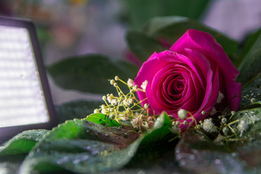 Similar image 21886674