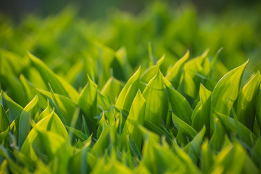 Similar image 21886675