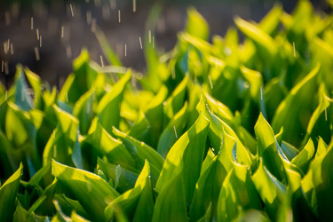 Similar image 21886676