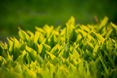 Similar image 21886677