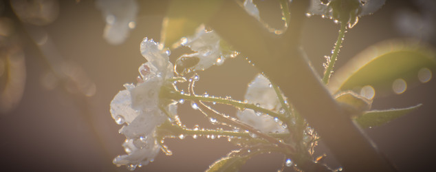 Similar image 21886678