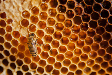 Similar image 21886679