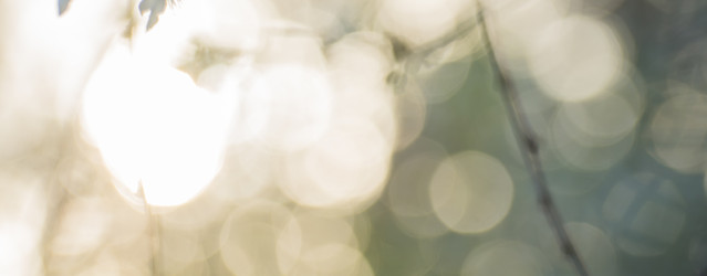 Similar image 21886682