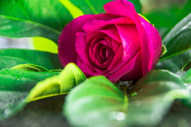 Similar image 21886683