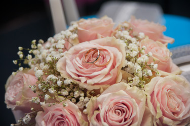 Similar image 21886684