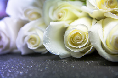 Similar image 21886685