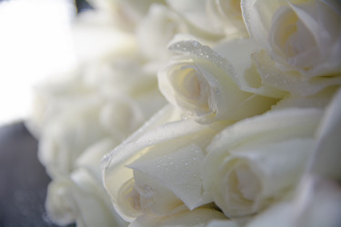 Similar image 21886686