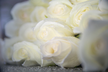 Similar image 21886687