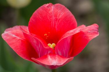 Similar image 21886690