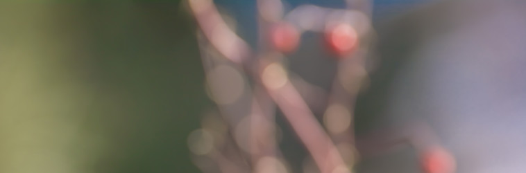 Similar image 21886861