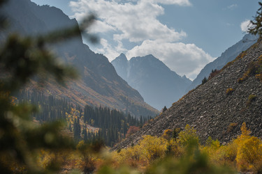 Similar image 21886862