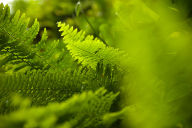 Similar image 21886870