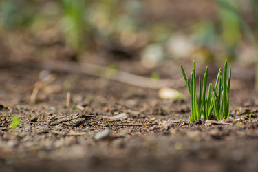 Similar image 21886875