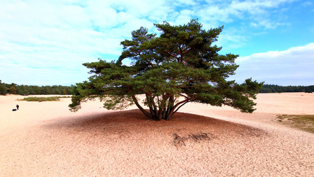 Similar image 21885278