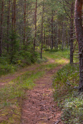 Similar image 21885300