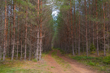 Similar image 21885301